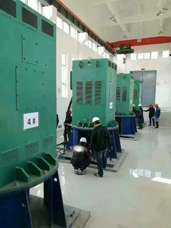 YKS6301-10某污水处理厂使用我厂的立式高压电机安装现场